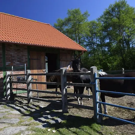 Lisia Gora Casa vacanze Glowczyce